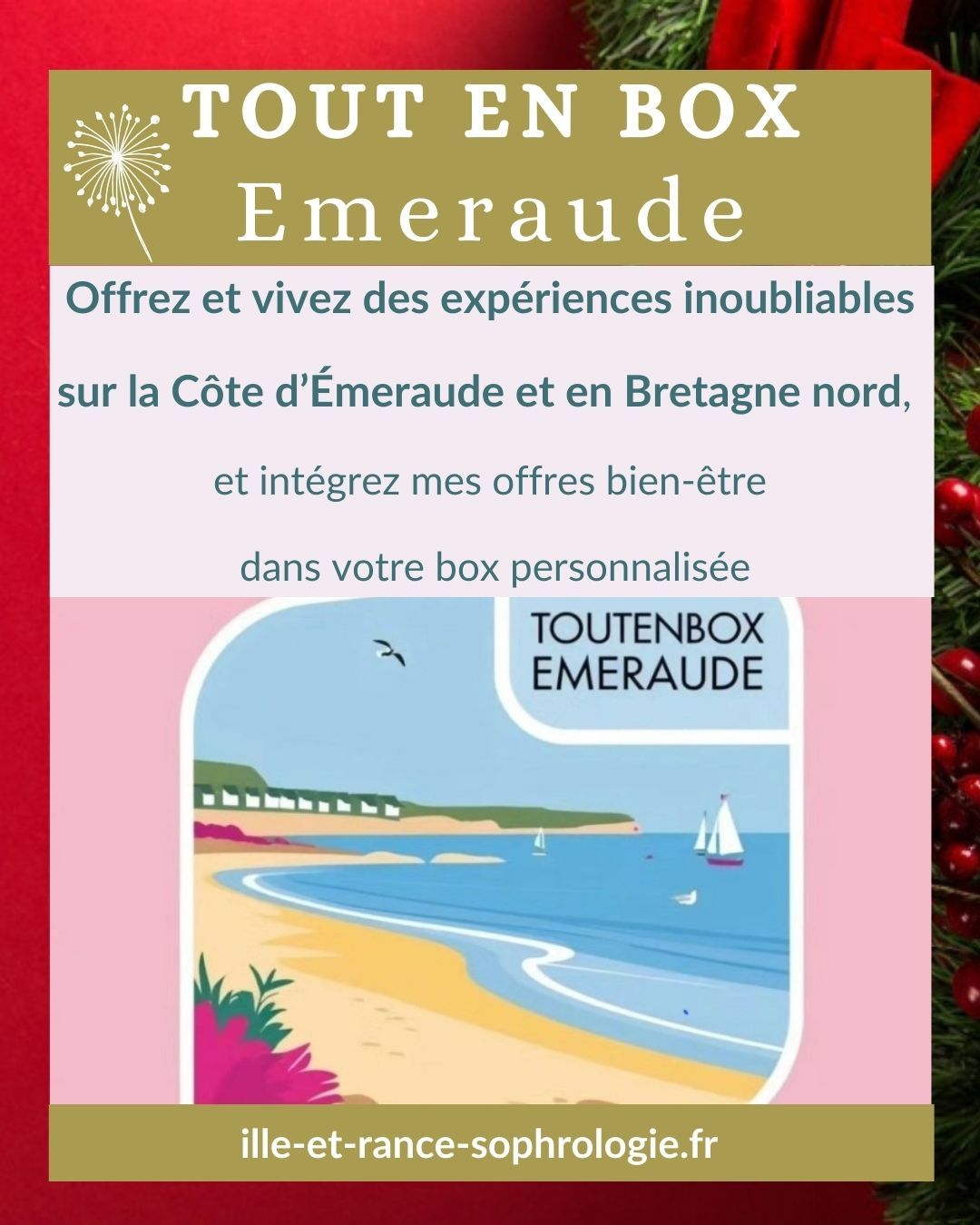 Tout en Box Emeraude, Elodie Roy-Delpierre sophrologue