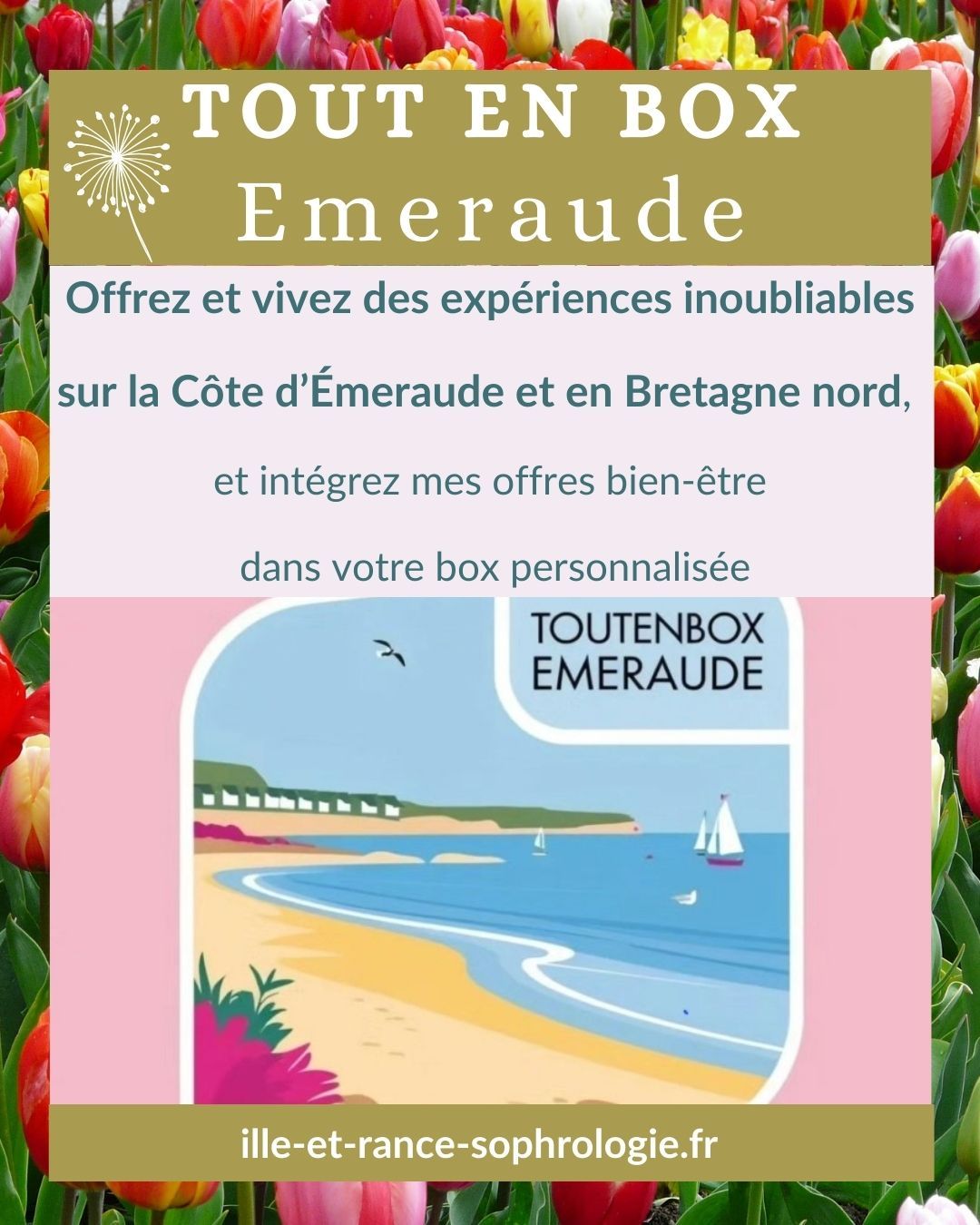 Tout en Box Emeraude, Elodie Roy-Delpierre sophrologue